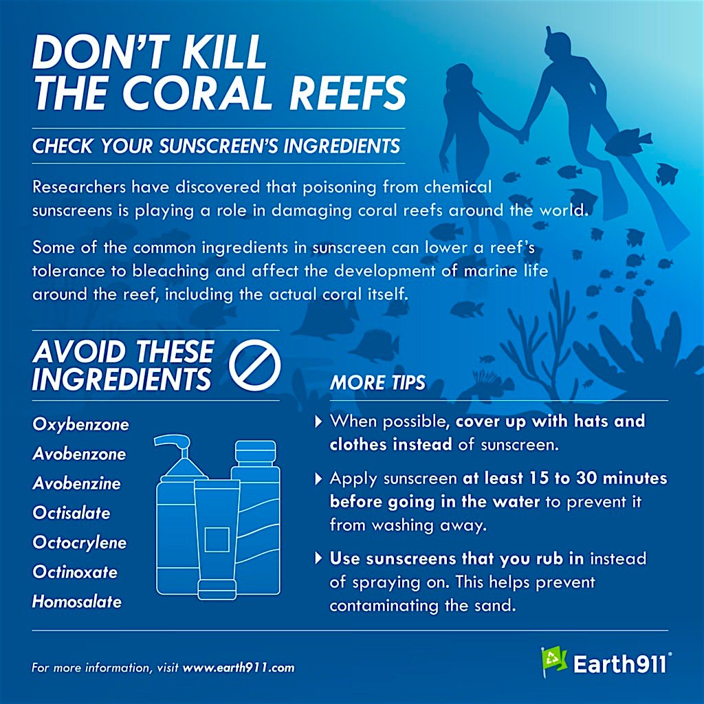 www.thefunkyturtle.com safe suncreen for coral reef chart