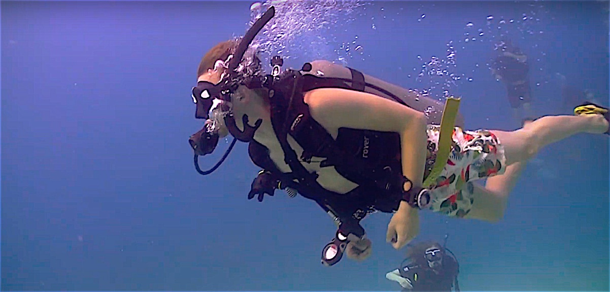 www.thefunkyturtle.com scuba diver course koh tao