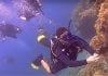 thefunkyturtle.com scuba diving beginners course