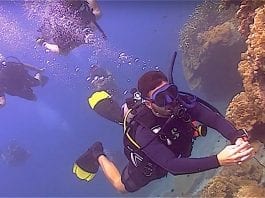 Scuba Diver Beginners Course