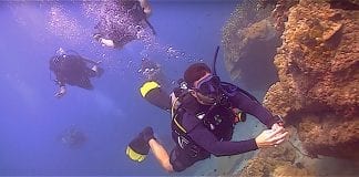 Scuba Diver Beginners Course