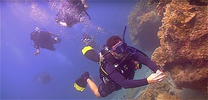 Scuba Diver Beginners Course thefunkyturtle.com scuba diving beginners course