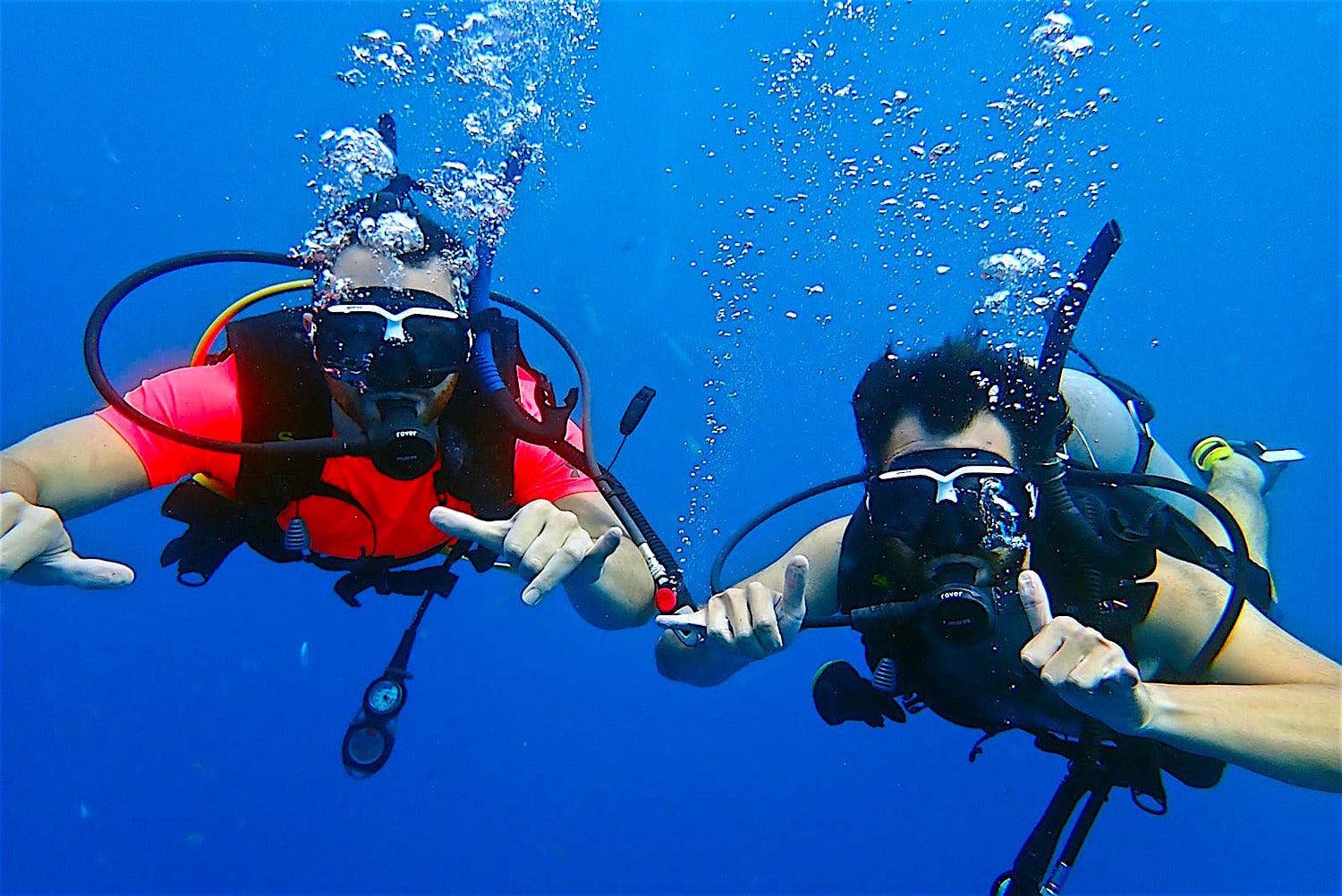 www.thefunkyturtle.com scuba diving koh tao thailand