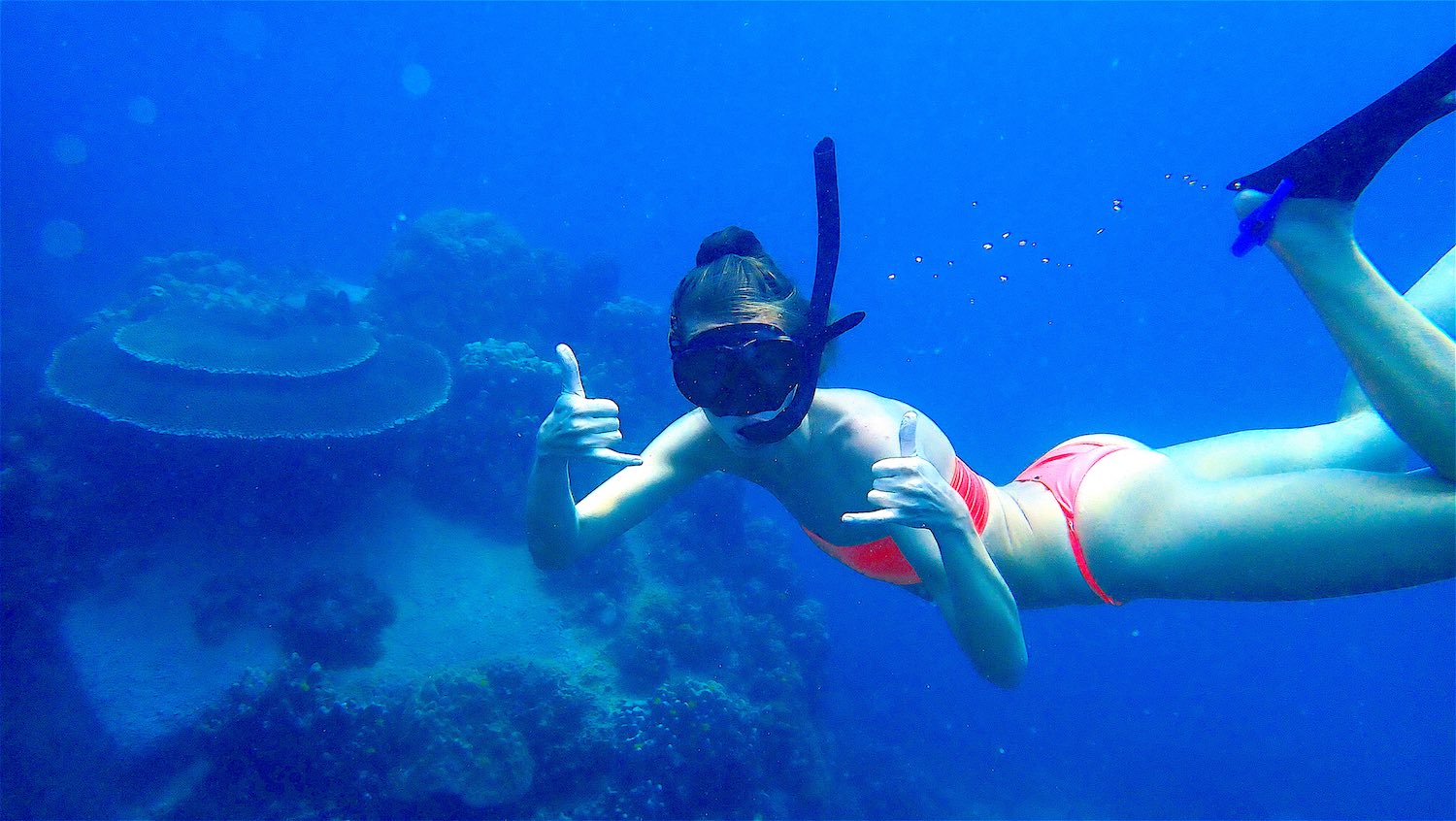 www.thefunkyturtle.com snorkel on koh tao