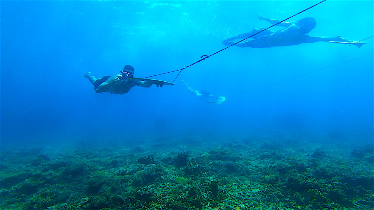 www.thefunkyturtle.com sub flying on koh tao