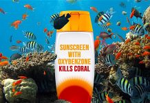 thefunkyturtle.com suncreen and coral reefs