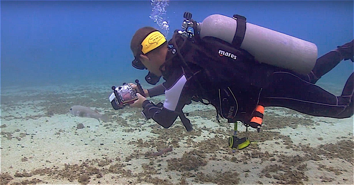 www.thefunkyturtle.com underwater videography specialty koh tao