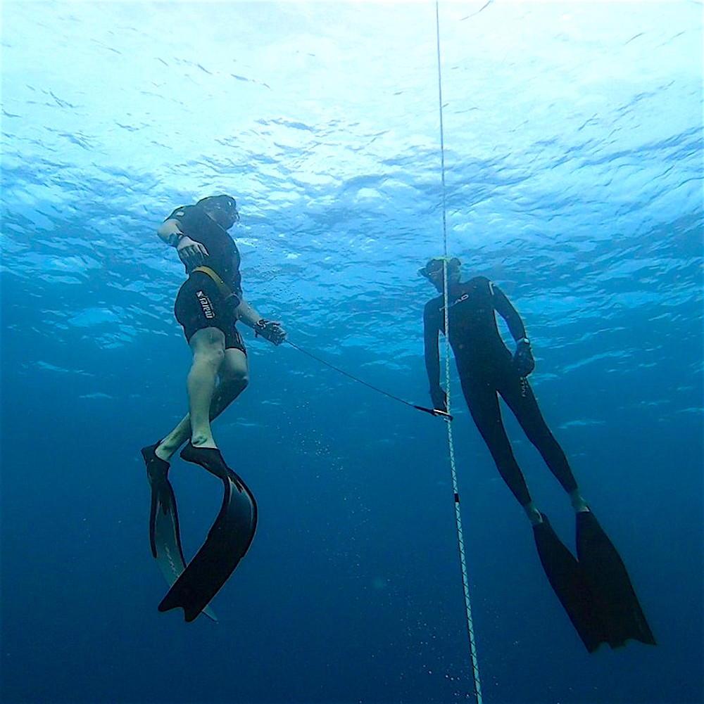 www.thefunkyturtle.com advanced freediver course on koh tao