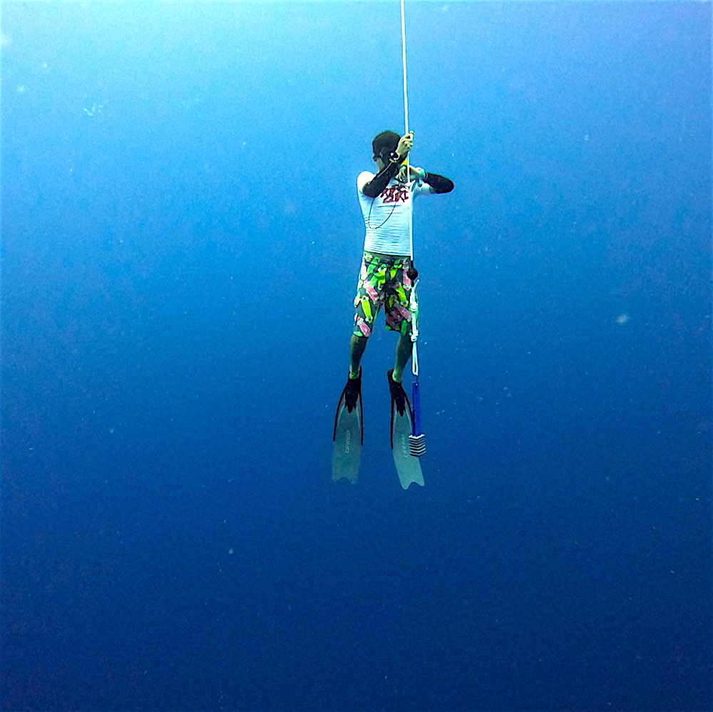 www.thefunkyturtle.com-advanced-freediving-course-on-koh-tao