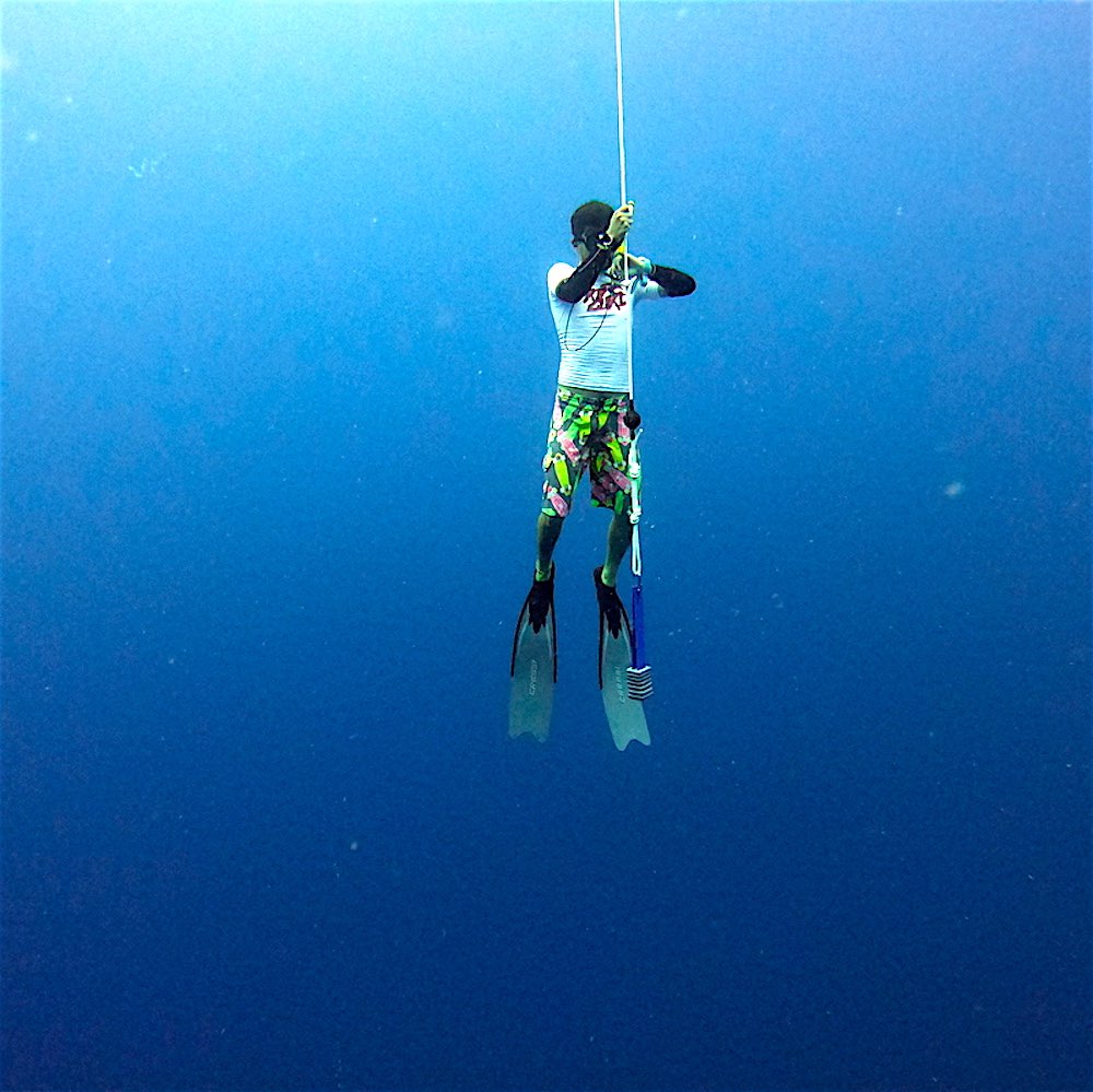 www.thefunkyturtle.com-advanced-freediving-course-on-koh-tao