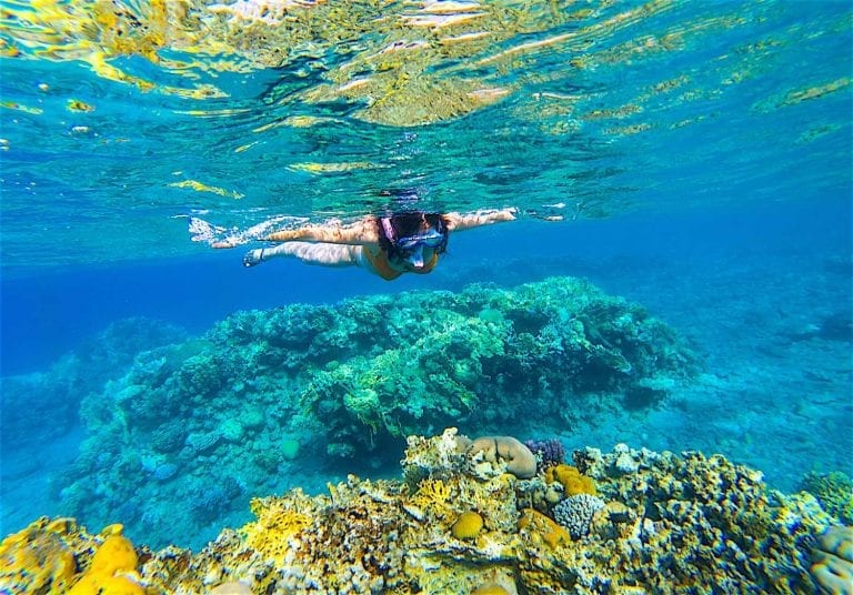 Best 1 Day Snorkel Tour on Koh Tao Funky Turtle