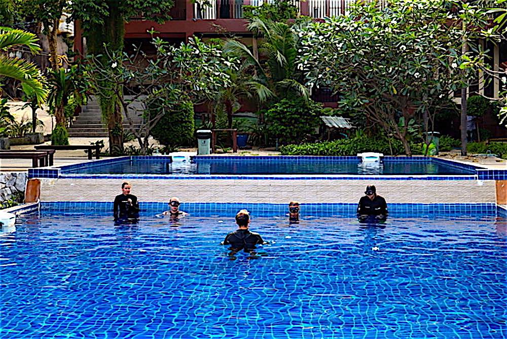 www.thefunkyturtle.com basic freediver course