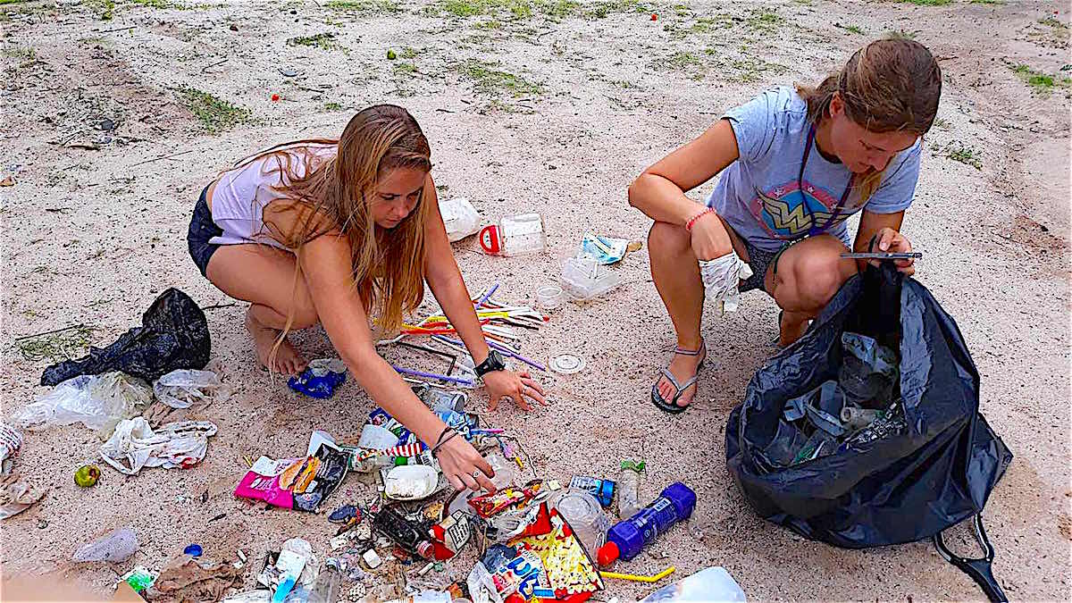 www.thefunkyturtle.com beach clean ups koh tao