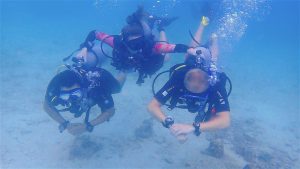 thefunkyturtle.com best discover scuba diving for beginners koh tao