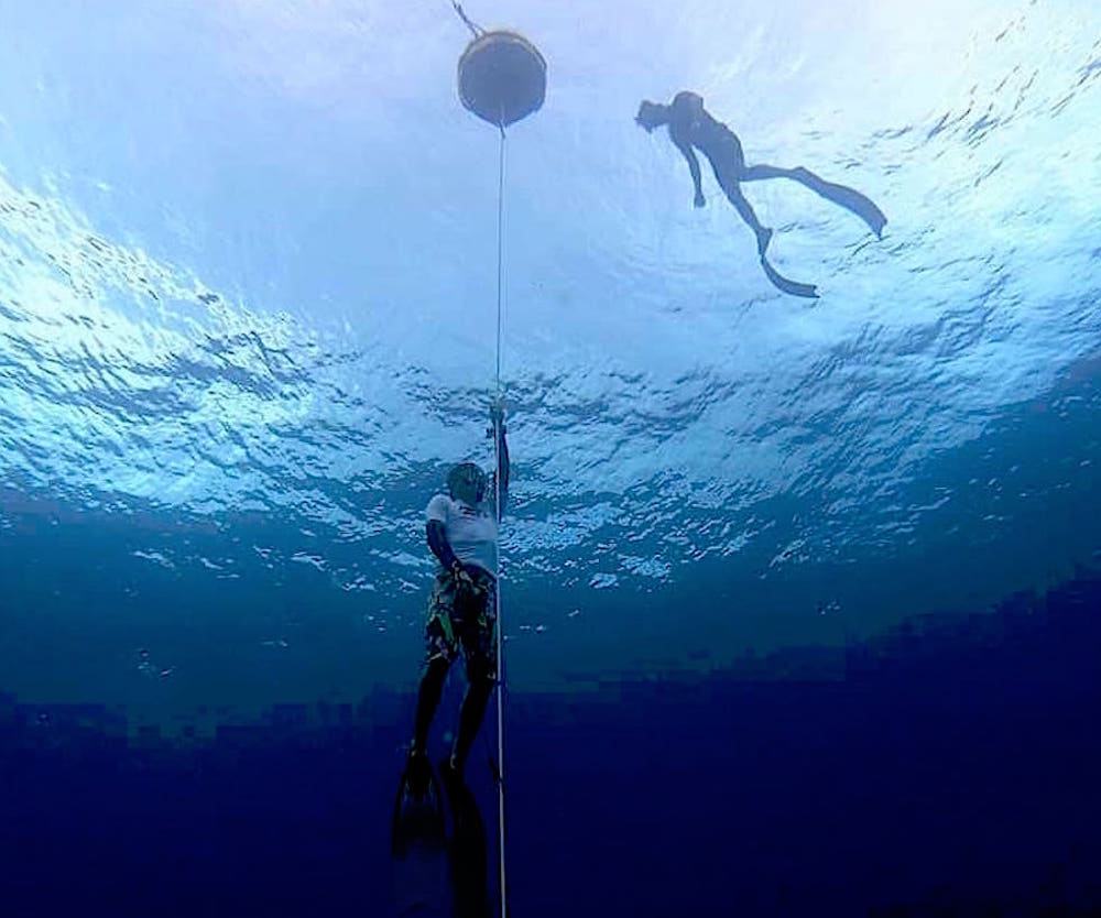 www.thefunkyturtle.com freediver instructor crossover course koh tao