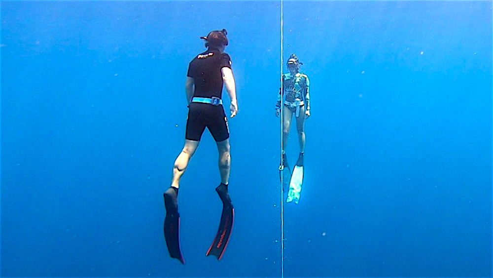 www.thefunkyturtle.com freediving instructor course koh tao