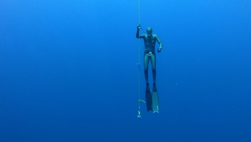 www.thefunkyturtle.com freediving koh tao