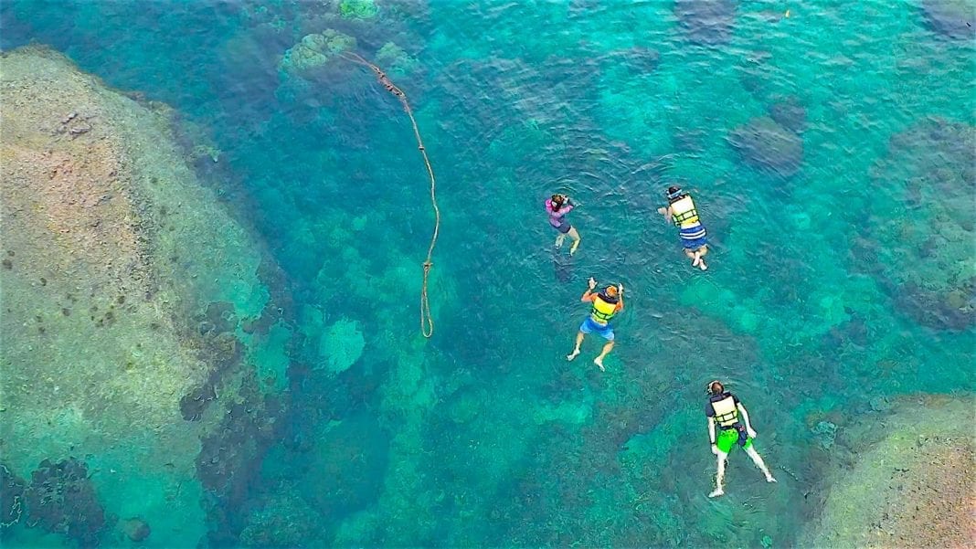 Full Day Snorkel Trip on Koh Tao Funky Turtle