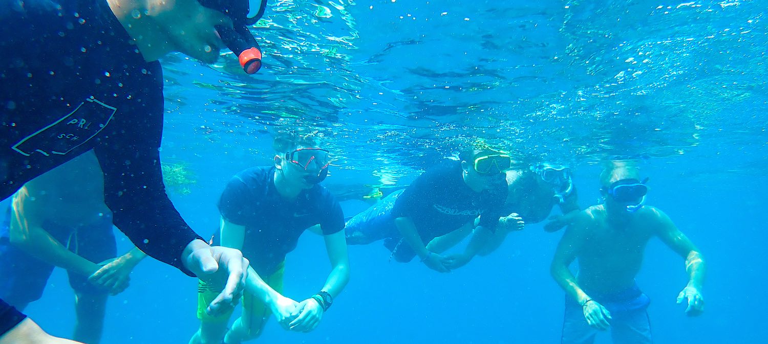 www.thefunkyturtle.com half day snorkel koh tao in group