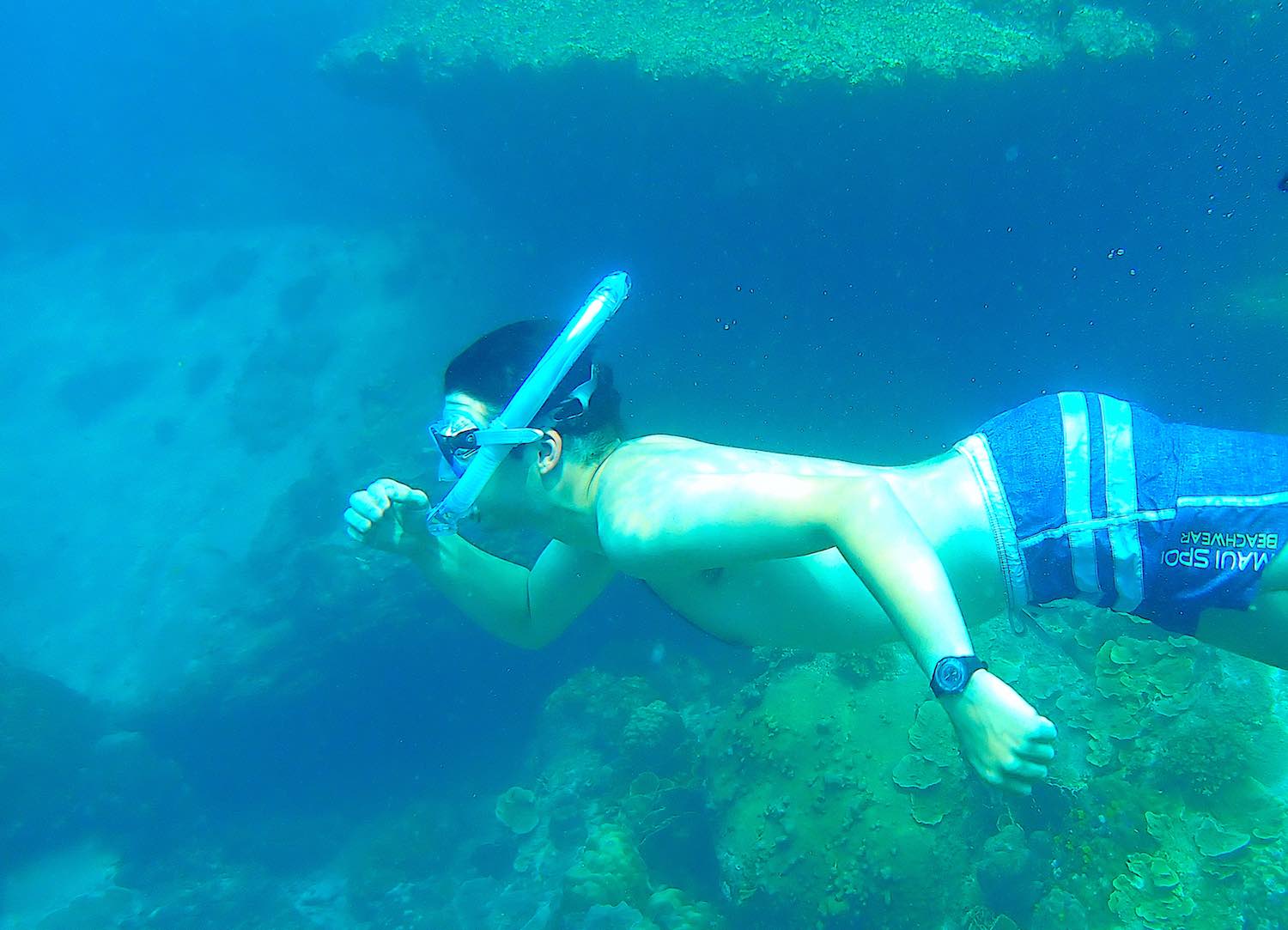 www.thefunkyturtle.com half day snorkel thailand