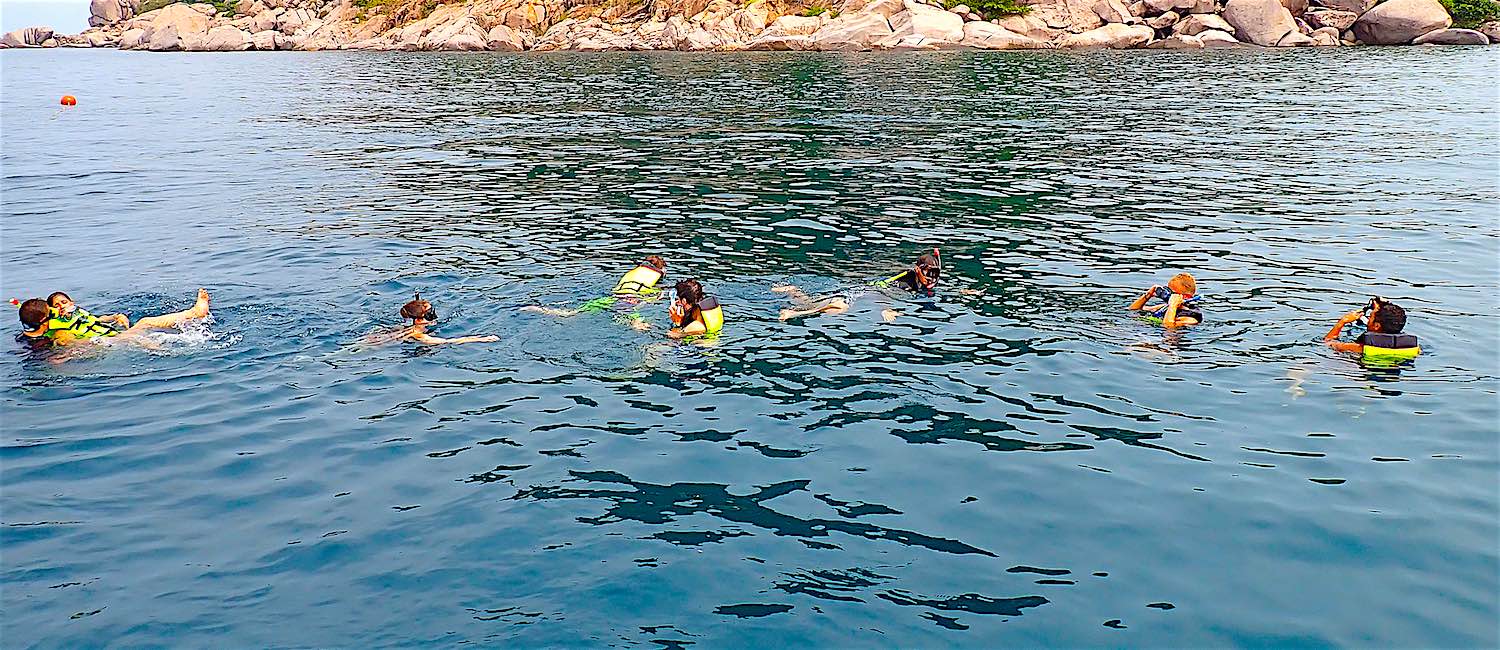 www.thefunkyturtle.com half day snorkeling trip koh tao