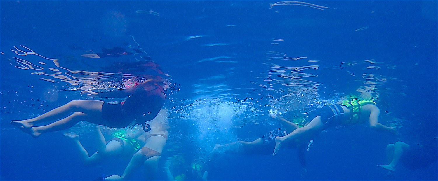 www.thefunkyturtle.com hin wong bay snorkeling koh tao