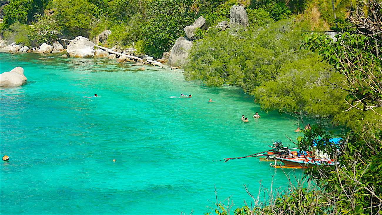 www.thefunkyturtle.com koh tao freedom beach