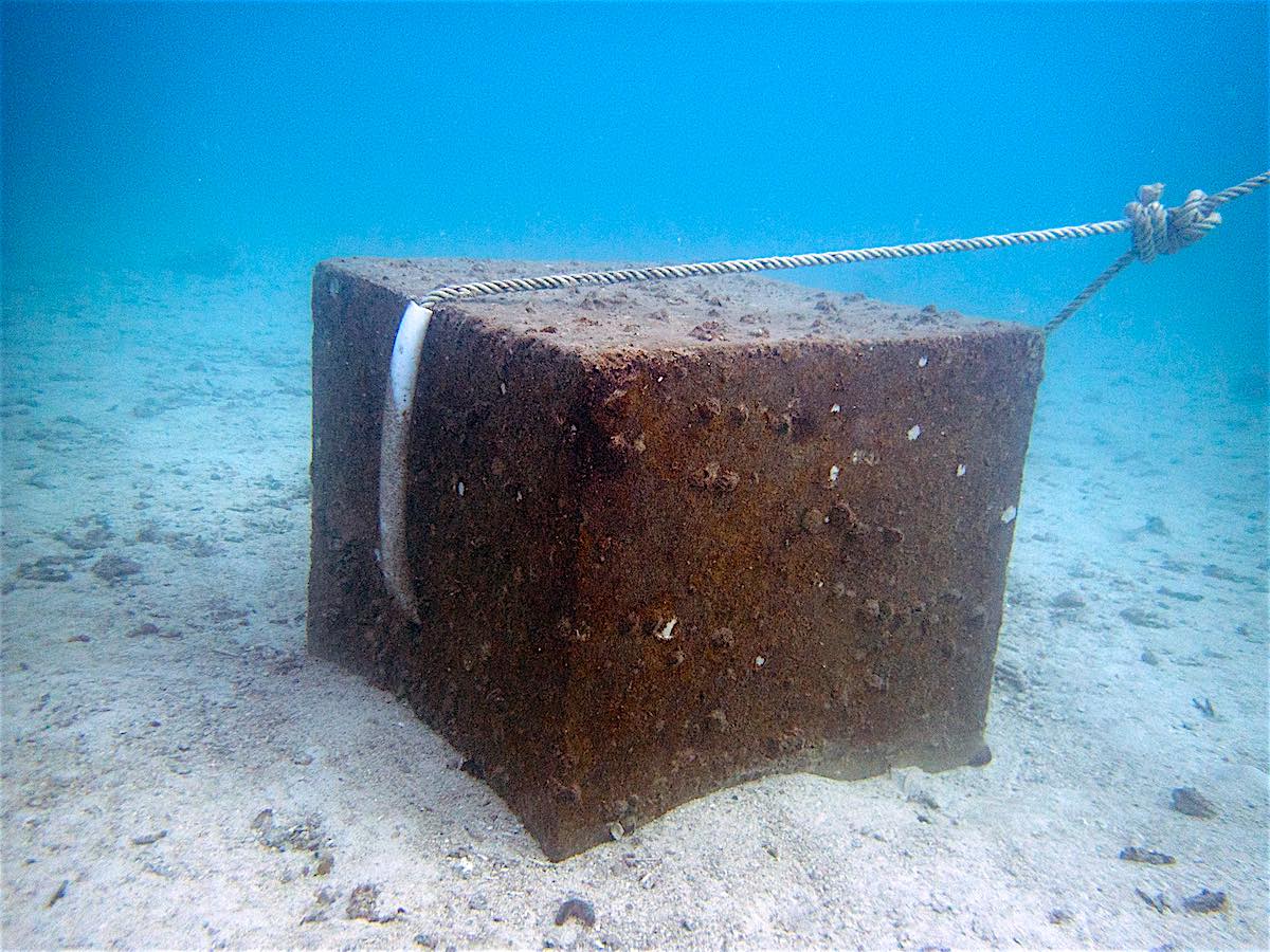 www.thefunkyturtle.com mooring buoy lines concrete blocks koh tao