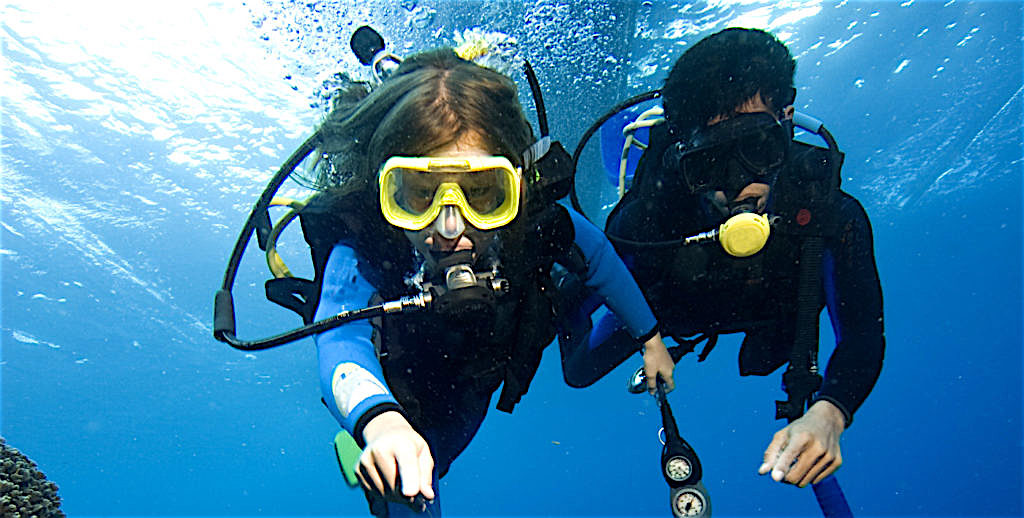 www.thefunkyturtle.com open water for kids on koh tao