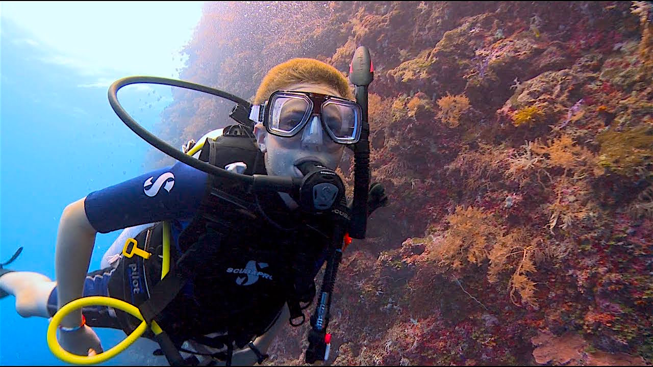 www.thefunkyturtle.com open water on koh tao