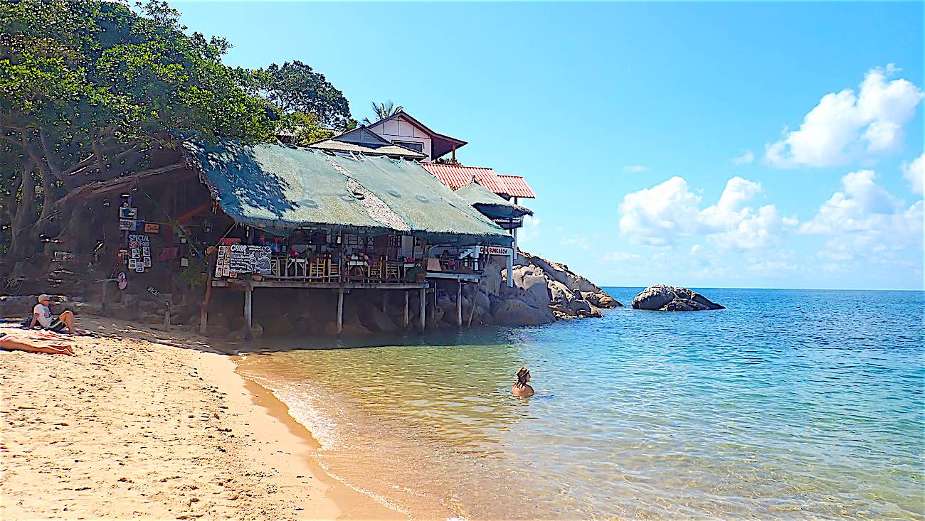 www.thefunkyturtle.com sainuan koh tao banana rock bar