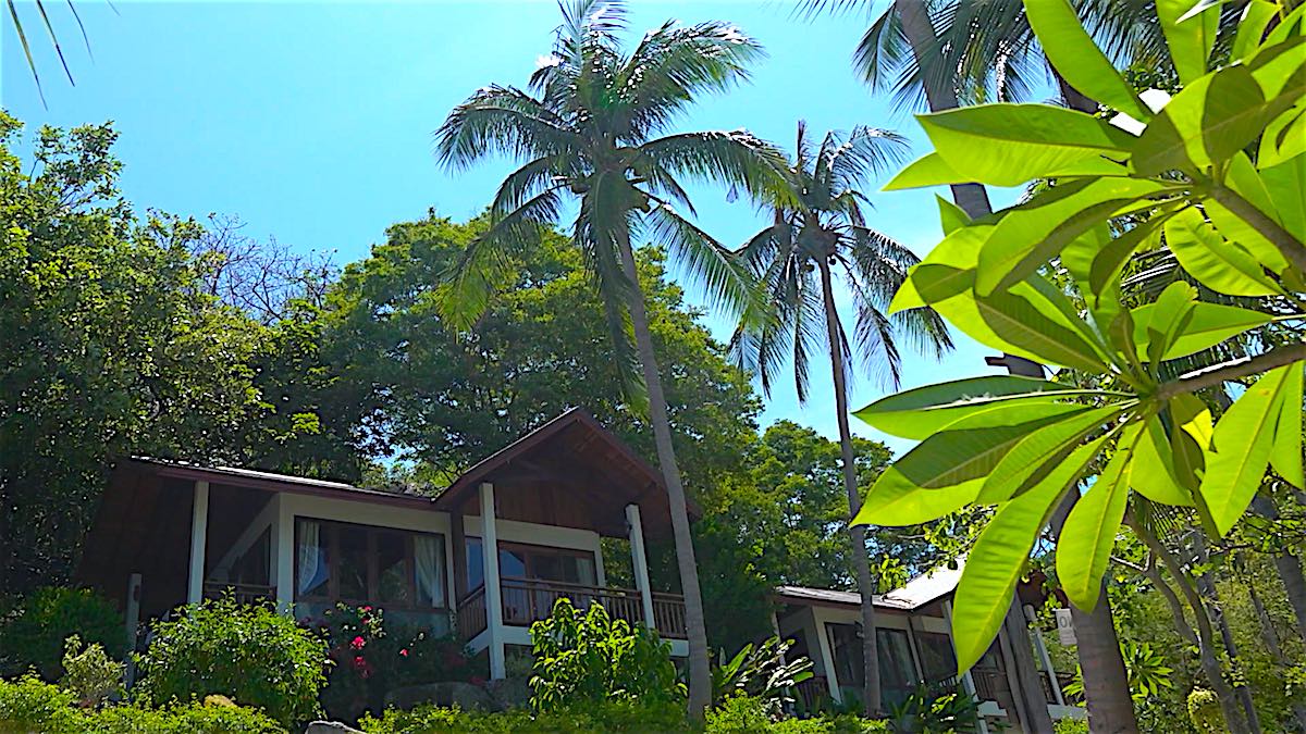 www.thefunkyturtle.com seaview bungalows koh tao