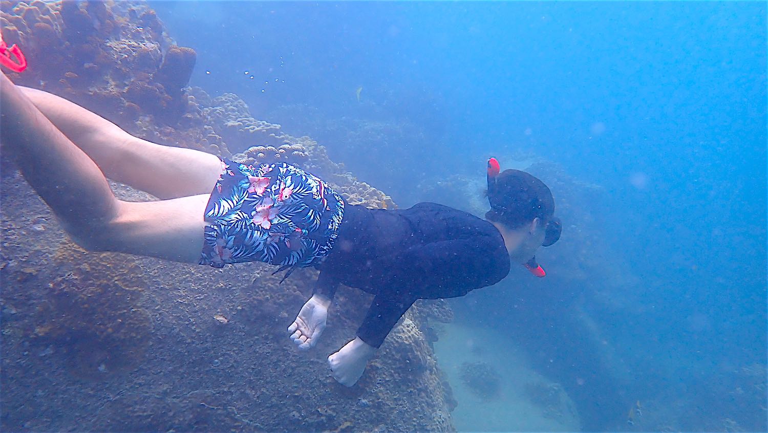 www.thefunkyturtle.com snorkel around koh tao