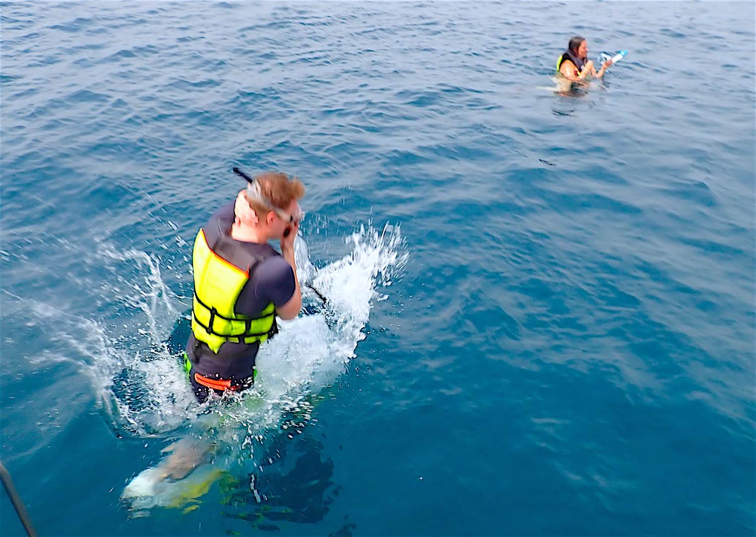 www.thefunkyturtle.com snorkel entry full day koh tao