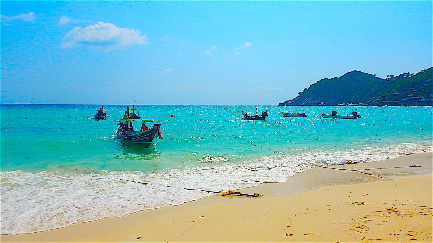 www.thefunkyturtle.com snorkel shark bay o koh tao