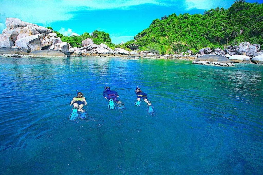 Best 1 Day Snorkel Tour on Koh Tao Funky Turtle