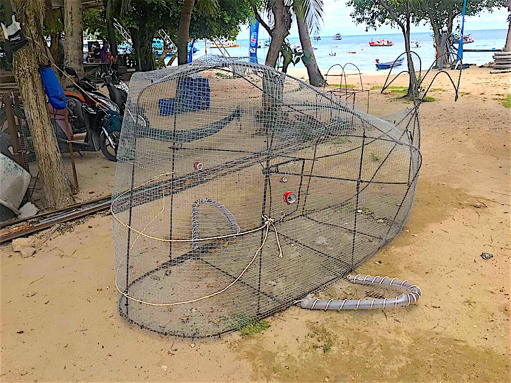 www.thefunkyturtle.com whale recycling point koh tao