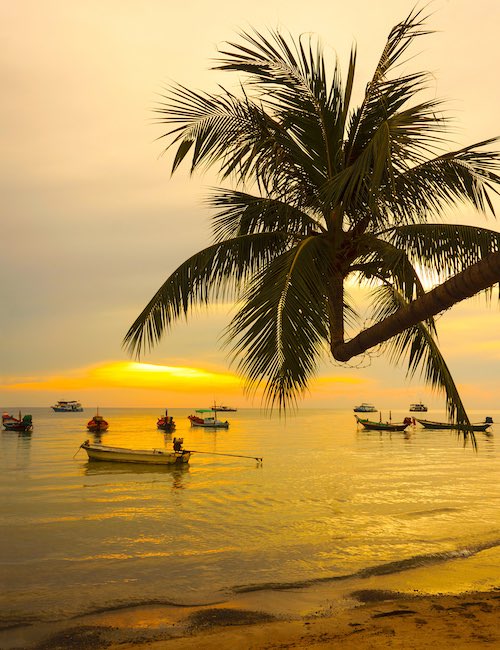 Best Weather in Thailand on Koh Tao