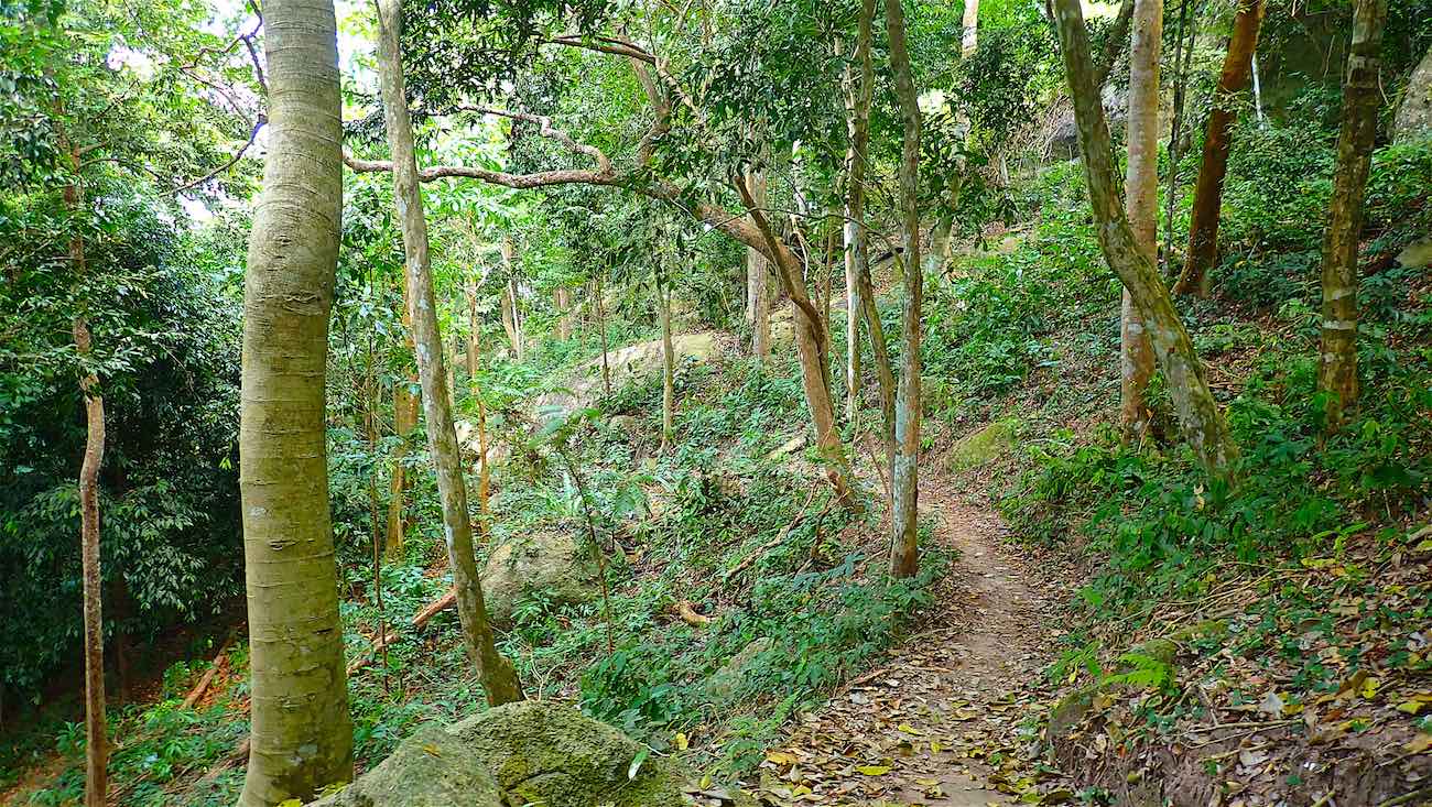 www.thefunkyturtle.com jungle trek to fraggle rock viewpoint koh tao