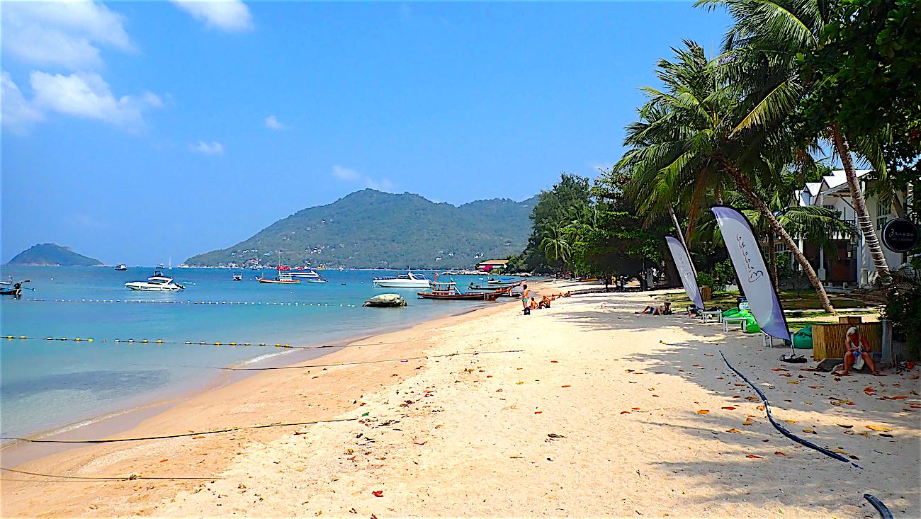 www.thefunkyturtle.com restaurants on mae haad beach koh tao thailand