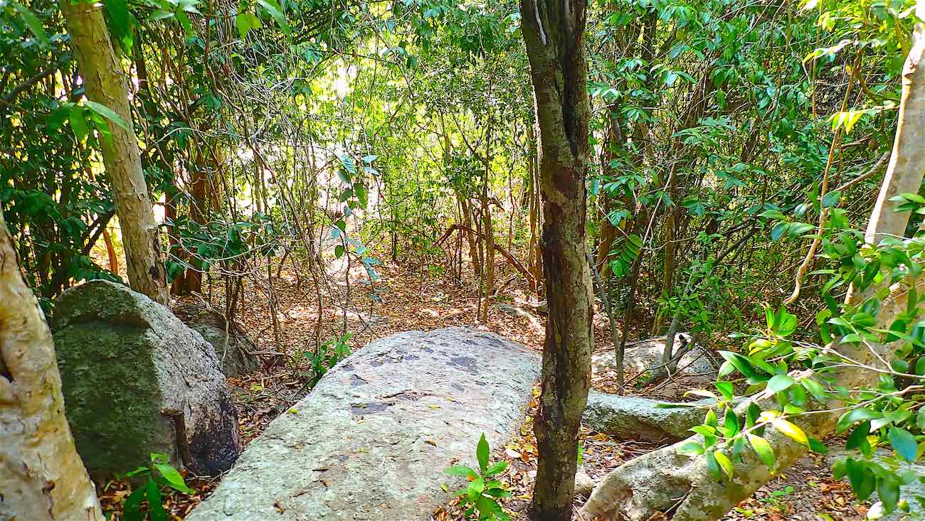 www.thefunkyturtle.com south west koh tao sainuan viewpoint