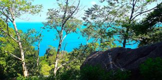 thefunkyturtle.com stunning viewpoints mango bay north koh tao