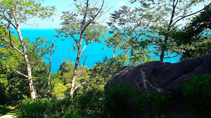 thefunkyturtle.com stunning viewpoints mango bay north koh tao thefunkyturtle.com stunning viewpoints mango bay north koh tao