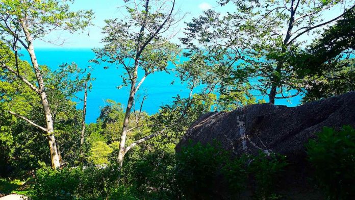 thefunkyturtle.com stunning viewpoints mango bay north koh tao