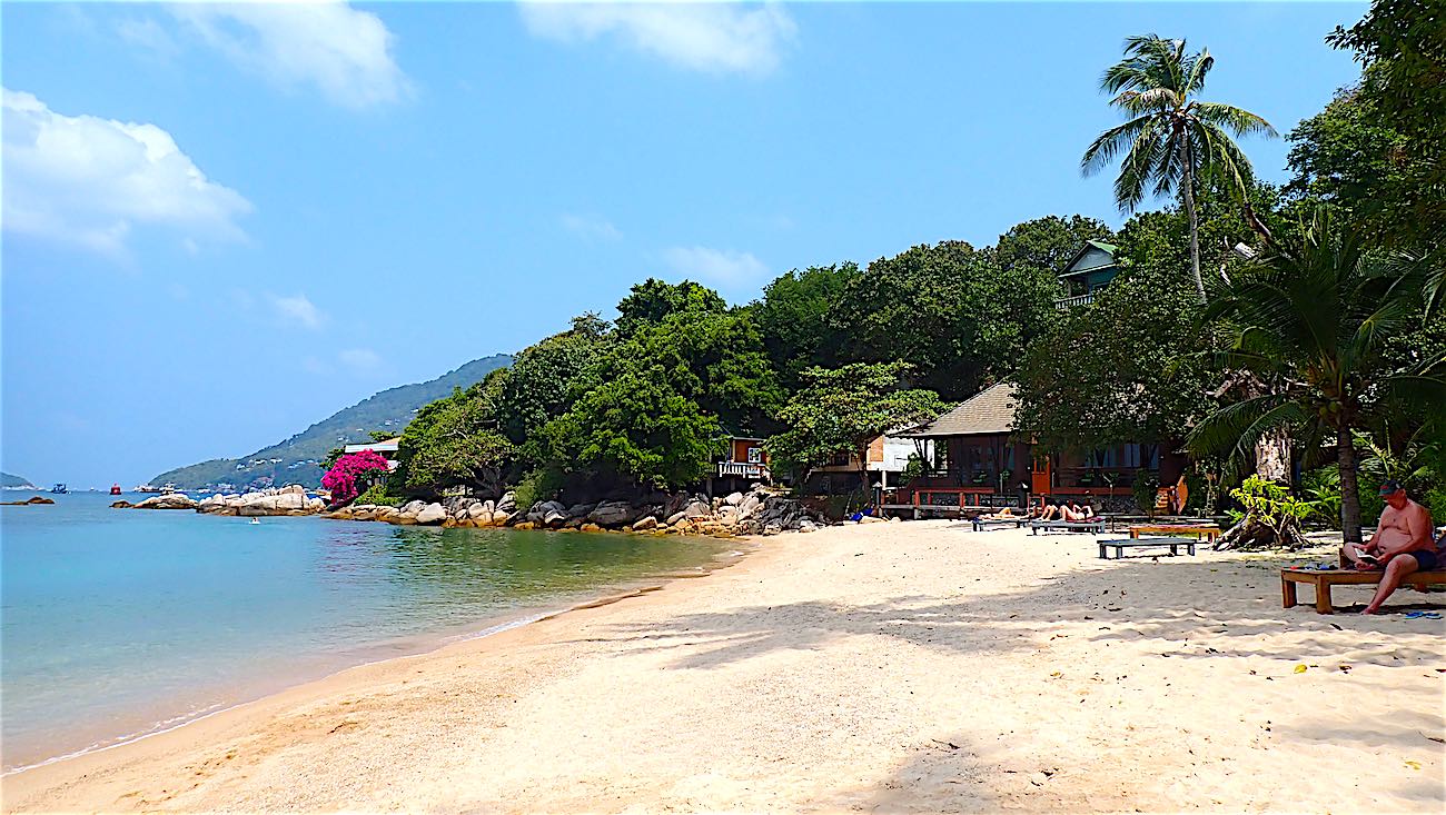 www.thefunkyturtle.com white sandy mae haad beach koh tao thailand