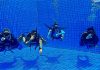 thefunkyturtle.com best divemaster course koh tao