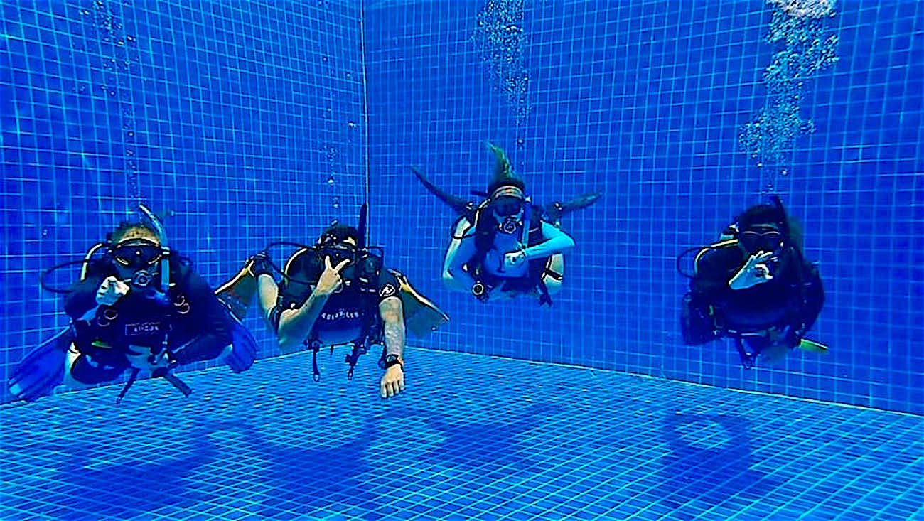 www.thefunkyturtle.com best divemaster course koh tao