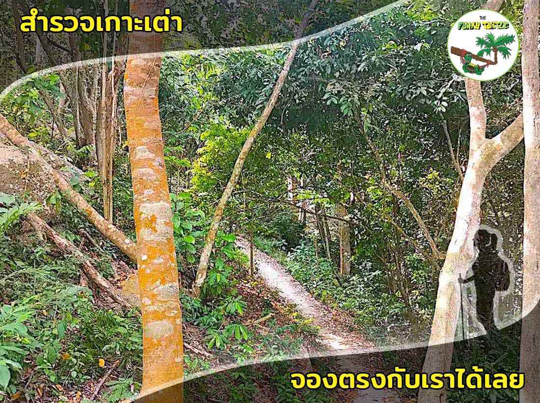 Best Hiking Trails on Koh Tao