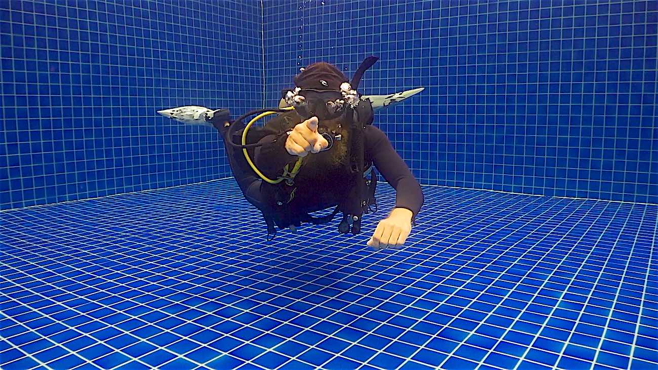 www.thefunkyturtle.com best reasons to do divemaster course koh tao