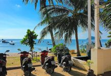 thefunkyturtle.com cheap scooter rental koh tao